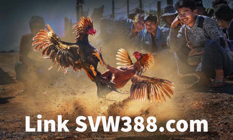 Link swv388. Com truy cập nhà cái sv388